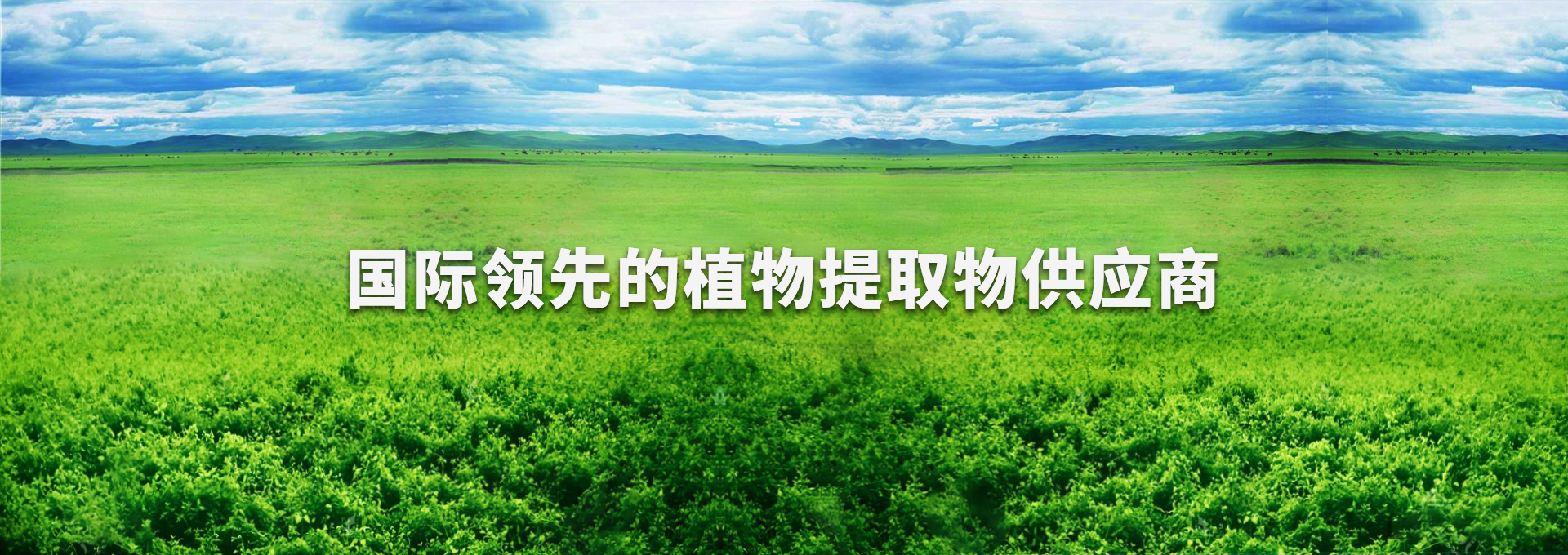 ���͵羺��VKGAME(�й���)�ٷ���վ