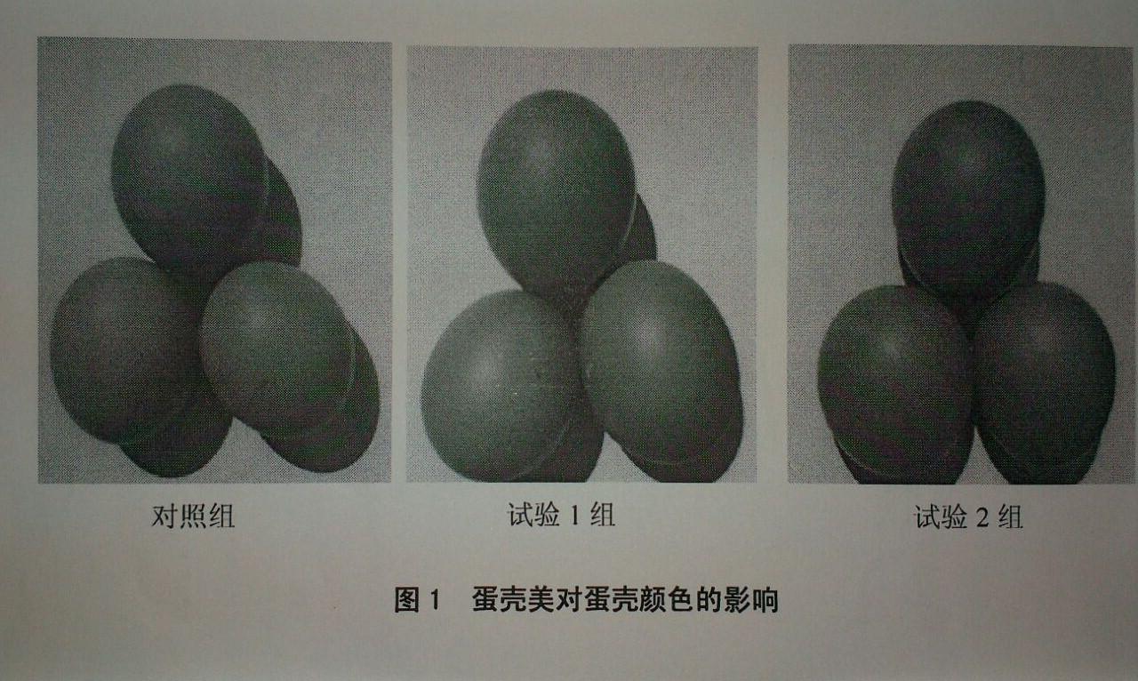威客电竞·VKGAME(中国区)官方网站
