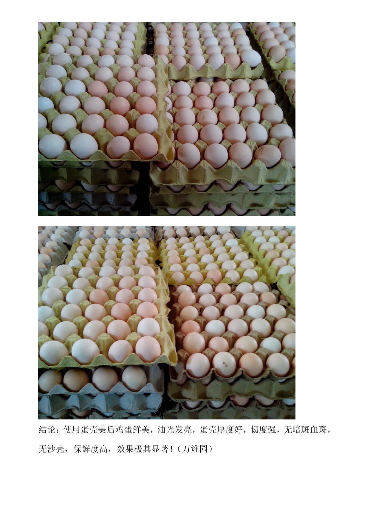 ���͵羺��VKGAME(�й���)�ٷ���վ