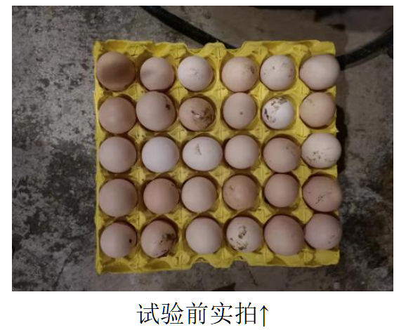 ���͵羺��VKGAME(�й���)�ٷ���վ