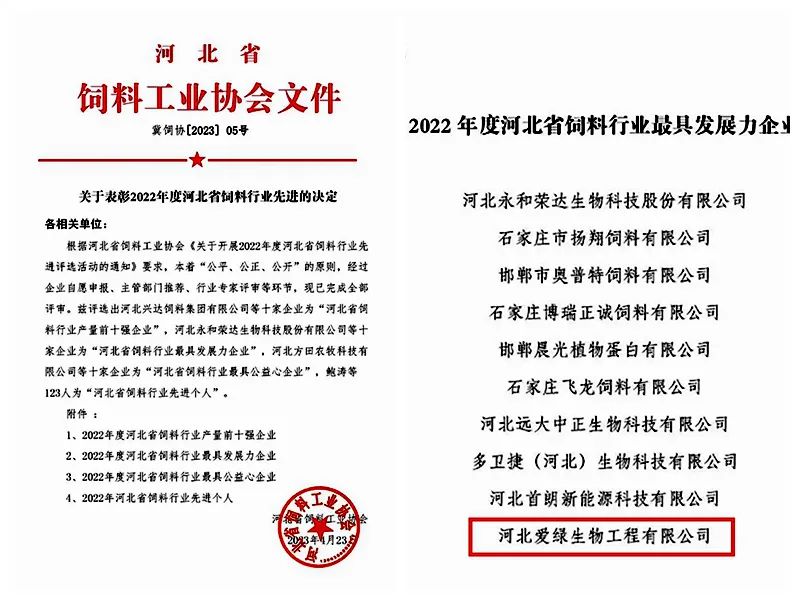威客电竞·VKGAME(中国区)官方网站